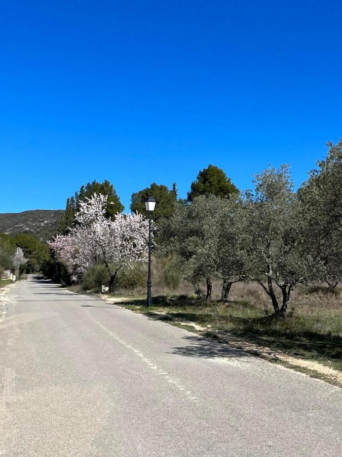 فيلا Les Jardins De La Graviere A 5 Mn De Lourmarin Avec Piscine Privee Puyvert المظهر الخارجي الصورة